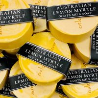 Australian Lemon Myrtle - Goats Milk Disc